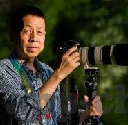 开云体育平台页面-重塑体验，开云体育平台页面的革新之路